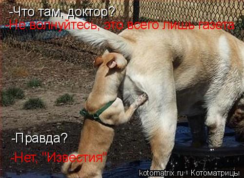 -Что там, доктор? -Не волнуйтесь, это всего лишь газета -Правда? -Нет, "Известия"... Котоматрица: -Что там, доктор? -Не волнуйтесь, это всего лишь газета -Правда? -Нет, "Известия"