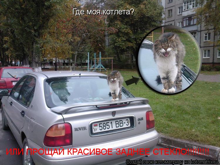 Где моя котлета? ИЛИ ПРОЩАЙ КРАСИВОЕ ЗАДНЕЕ СТЕКЛО!!!!!!!!!... Котоматрица: Где моя котлета? ИЛИ ПРОЩАЙ КРАСИВОЕ ЗАДНЕЕ СТЕКЛО!!!!!!!!!