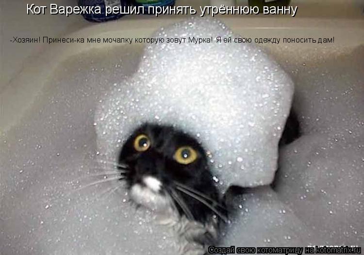Котоматрица: Кот Варежка решил принять утрённюю ванну -Хозяин! Принеси-ка мне мочалку которую зовут Мурка! Я ей свою одежду поносить дам!