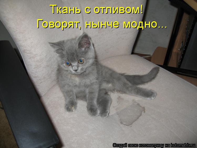 Котоматрица: Ткань с отливом! Говорят, нынче модно...