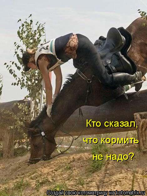 Кто сказал, что кормить не надо?... Котоматрица: Кто сказал, что кормить не надо?