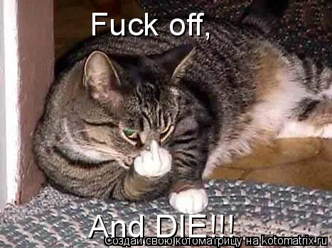Fuck off, And DIE!!!... Котоматрица: Fuck off, And DIE!!!