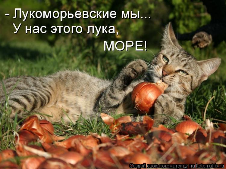 - Лукоморьевские мы... У нас этого лука, МОРЕ!... Котоматрица: - Лукоморьевские мы... У нас этого лука, МОРЕ!