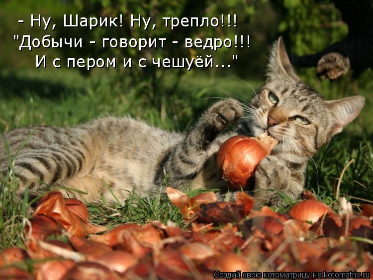 - Ну, Шарик! Ну, трепло!!! "Добычи - говорит - ведро!!! И с пером и с чешуёй..."... Котоматрица: - Ну, Шарик! Ну, трепло!!! "Добычи - говорит - ведро!!! И с пером и с чешуёй..."