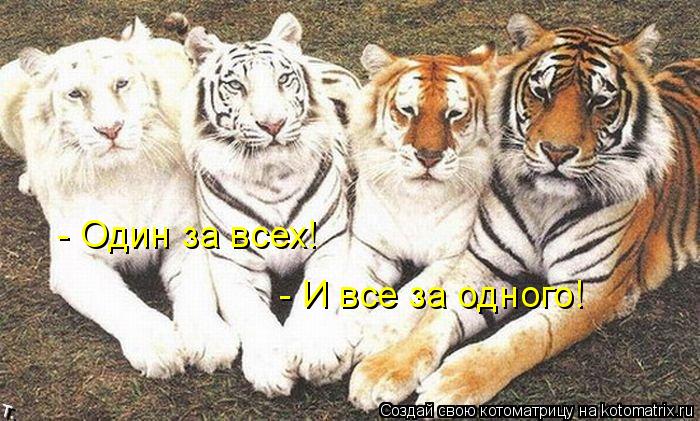 - Один за всех! - И все за одного!... Котоматрица: - Один за всех! - И все за одного!