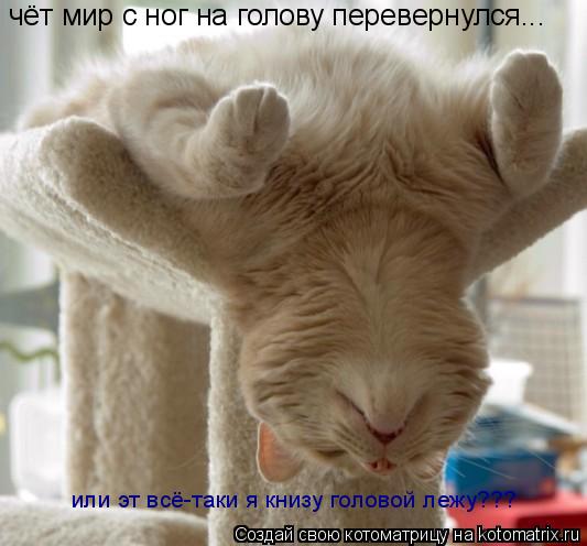 чёт мир с ног на голову перевернулся... или эт всё-таки я книзу головой лежу???... Котоматрица: чёт мир с ног на голову перевернулся... или эт всё-таки я книзу головой лежу???