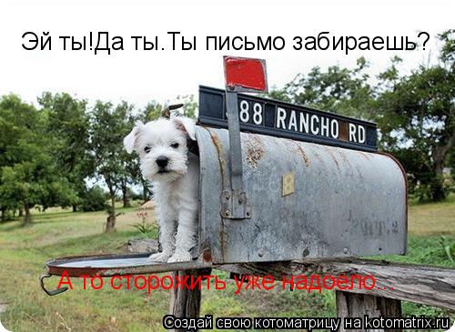 Эй ты!Да ты.Ты письмо забираешь? А то сторожить уже надоело...... Котоматрица: Эй ты!Да ты.Ты письмо забираешь? А то сторожить уже надоело...