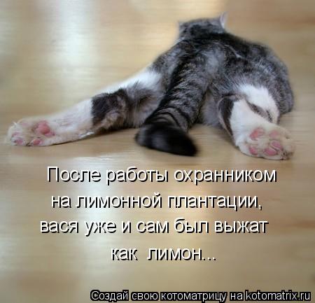 После работы охранником на лимонной плантации, вася уже и сам был выжат как лимон...... Котоматрица: После работы охранником на лимонной плантации, вася уже и сам был выжат как лимон...