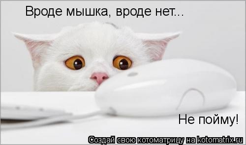 Вроде мышка, вроде нет... Не пойму!... Котоматрица: Вроде мышка, вроде нет... Не пойму!