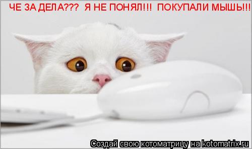 ЧЕ ЗА ДЕЛА??? Я НЕ ПОНЯЛ!!! ПОКУПАЛИ МЫШЬ!!! ЧЕ ЗА ДЕЛА??? Я НЕ ПОНЯЛ!!! ПОКУПАЛИ МЫШЬ!!!... Котоматрица: ЧЕ ЗА ДЕЛА??? Я НЕ ПОНЯЛ!!! ПОКУПАЛИ МЫШЬ!!! ЧЕ ЗА ДЕЛА??? Я НЕ ПОНЯЛ!!! ПОКУПАЛИ МЫШЬ!!!