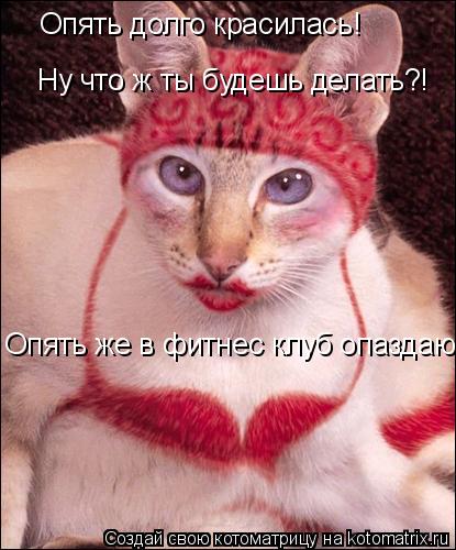 Опять долго красилась! Опять же в фитнес клуб опаздаю!!! Ну что ж ты будешь делать?! Ну что ж ты буде... Котоматрица: Опять долго красилась! Опять же в фитнес клуб опаздаю!!! Ну что ж ты будешь делать?! Ну что ж ты будешь делать?!