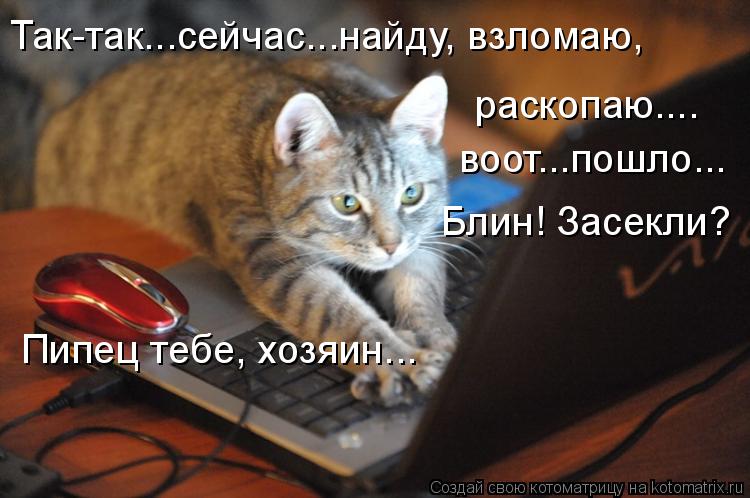 Так-так...сейчас...найду, взломаю, раскопаю.... воот...пошло... Блин! Засекли? Пипец тебе, хозяин..... Котоматрица: Так-так...сейчас...найду, взломаю, раскопаю.... воот...пошло... Блин! Засекли? Пипец тебе, хозяин...