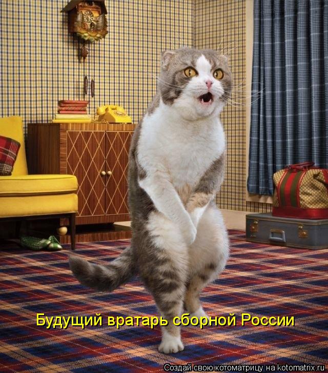 Будущий вратарь сборной России... Котоматрица: Будущий вратарь сборной России