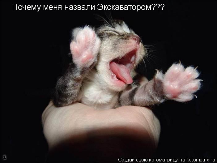 Почему меня назвали Экскаватором???... Котоматрица: Почему меня назвали Экскаватором???