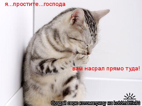 я...простите...господа вам насрал прямо туда!... Котоматрица: я...простите...господа вам насрал прямо туда!