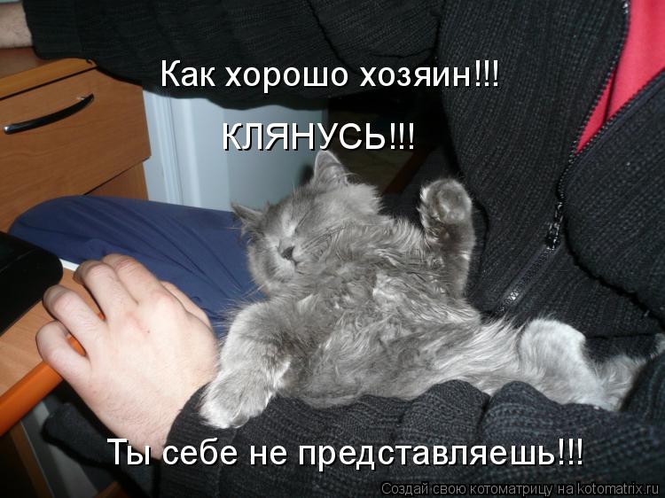 Котоматрица: Как хорошо хозяин!!! Ты себе не представляешь!!! КЛЯНУСЬ!!!