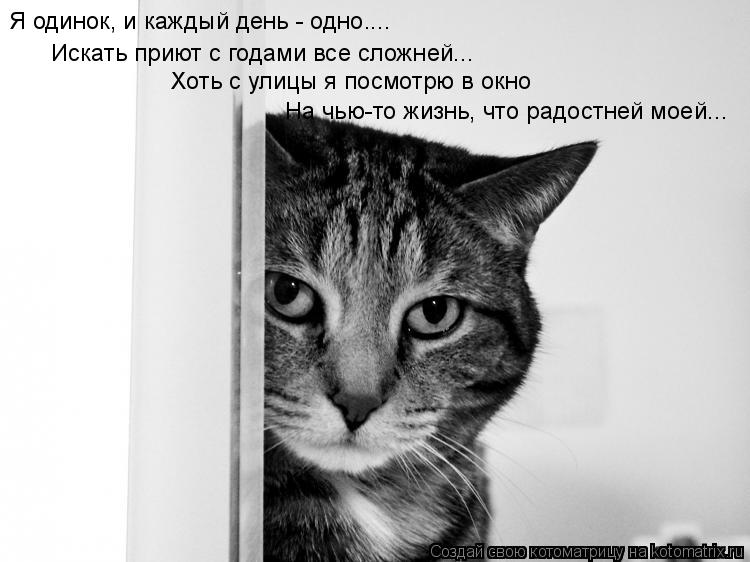 Я одинок, и каждый день - одно.... Искать приют с годами все сложней... Хоть с улицы я посмотрю в окн... Котоматрица: Я одинок, и каждый день - одно.... Искать приют с годами все сложней... Хоть с улицы я посмотрю в окно На чью-то жизнь, что радостней моей...