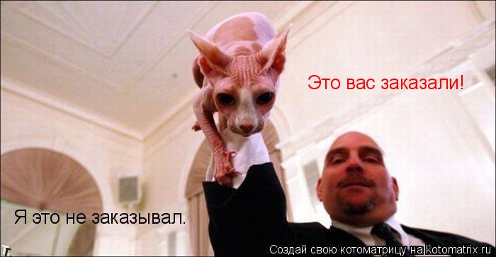 Я это не заказывал. Это вас заказали!... Котоматрица: Я это не заказывал. Это вас заказали!