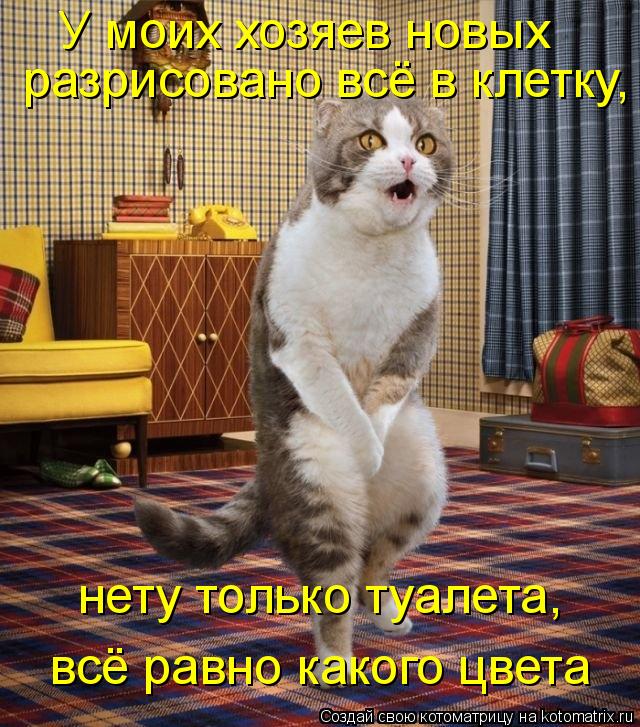 У моих хозяев новых разрисовано всё в клетку, нету только туалета, всё равно какого цвета... Котоматрица: У моих хозяев новых разрисовано всё в клетку, нету только туалета, всё равно какого цвета