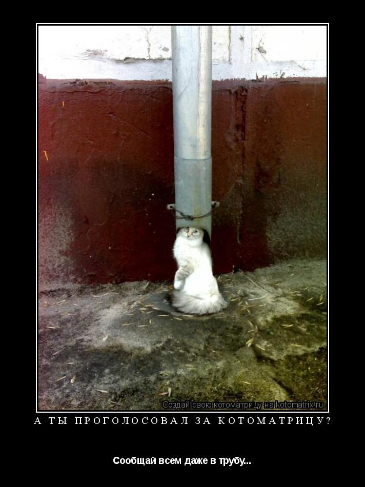 А ты проголосовал за котоматрицу? Сообщай всем даже в трубу...... Котоматрица: А ты проголосовал за котоматрицу? Сообщай всем даже в трубу...