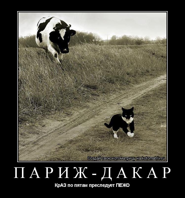 Париж-Дакар КрАЗ по пятам преследует ПЕЖО... Котоматрица: Париж-Дакар КрАЗ по пятам преследует ПЕЖО