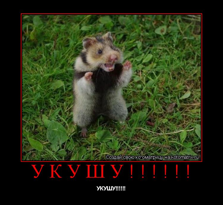 УКУШУ!!!!!! УКУШУ!!!!!!... Котоматрица: УКУШУ!!!!!! УКУШУ!!!!!!
