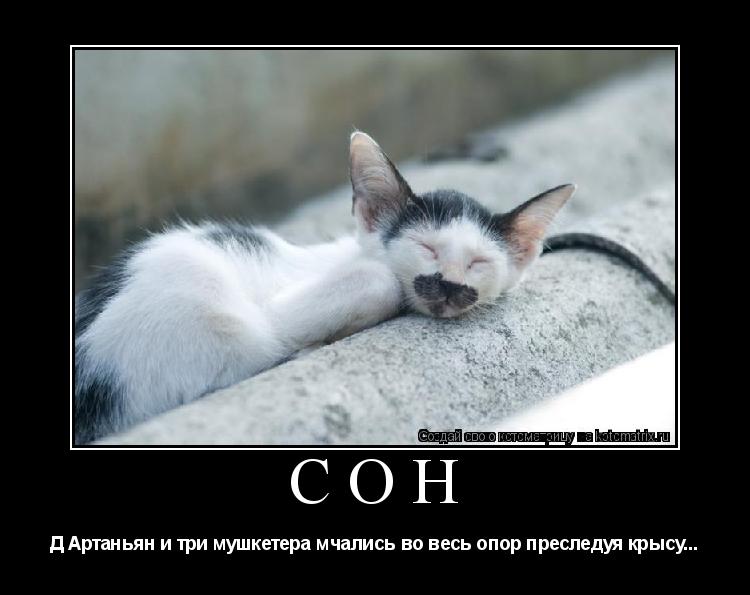 сон Д Артаньян и три мушкетера мчались во весь опор преследуя крысу...... Котоматрица: сон Д Артаньян и три мушкетера мчались во весь опор преследуя крысу...