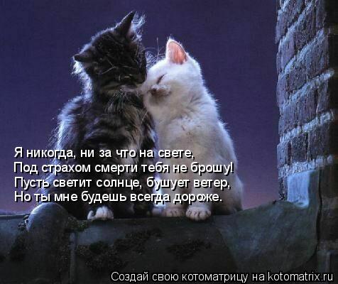 Стих все равно я тебя не брошу Стих все равно я тебя не брошу