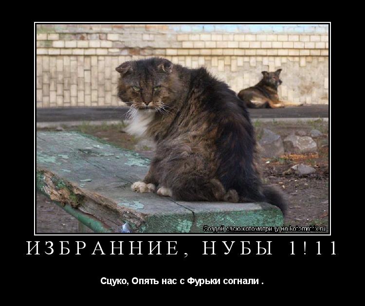 Избранние, нубы 1!11 Сцуко, Опять нас с Фурьки согнали .... Котоматрица: Избранние, нубы 1!11 Сцуко, Опять нас с Фурьки согнали .
