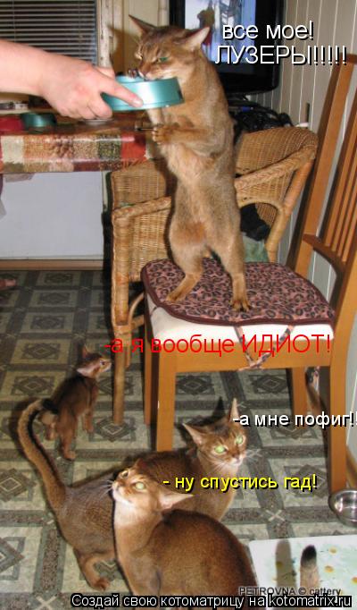 - ну спустись гад! -а мне пофиг!! все мое! ЛУЗЕРЫ!!!!! -а я вообще ИДИОТ!... Котоматрица: - ну спустись гад! -а мне пофиг!! все мое! ЛУЗЕРЫ!!!!! -а я вообще ИДИОТ!