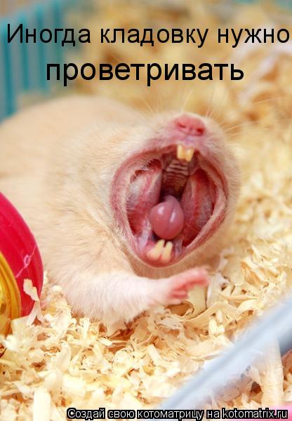 Иногда кладовку нужно проветривать... Котоматрица: Иногда кладовку нужно проветривать