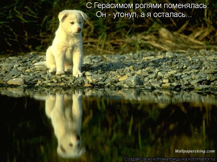 С Герасимом ролями поменялась: Он - утонул, а я осталась...... Котоматрица: С Герасимом ролями поменялась: Он - утонул, а я осталась...