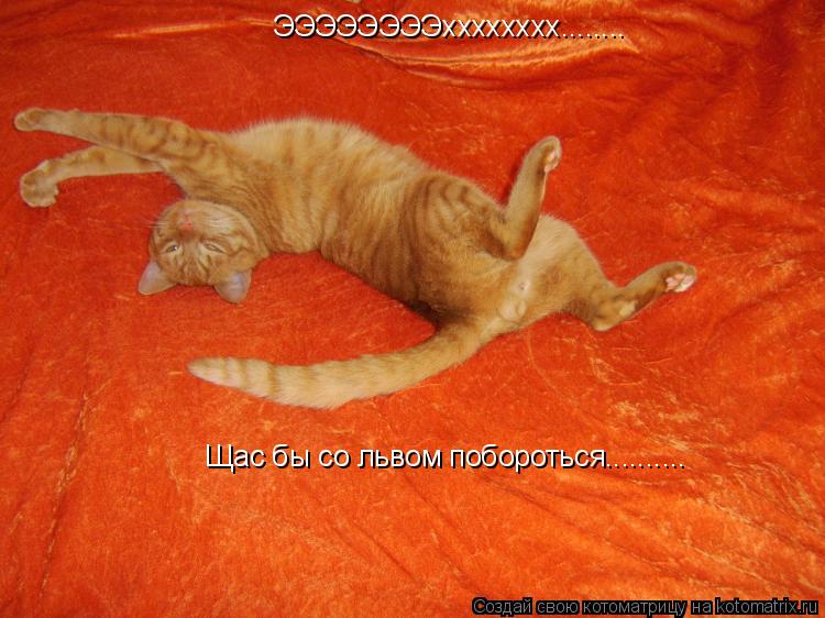 ЭЭЭЭЭЭЭЭхххххххх........ Щас бы со львом побороться............. Котоматрица: ЭЭЭЭЭЭЭЭхххххххх........ Щас бы со львом побороться..........