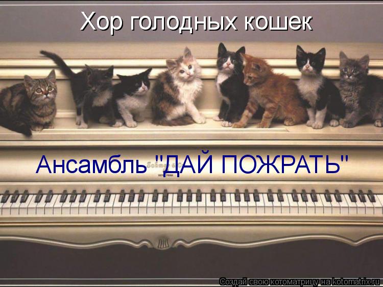 Хор голодных кошек Хор голодных кошек Ансамбль "ДАЙ ПОЖРАТЬ"... Котоматрица: Хор голодных кошек Хор голодных кошек Ансамбль "ДАЙ ПОЖРАТЬ"