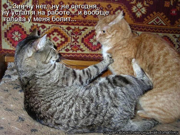 Зин ну нет...ну не сегодня... ну устал я на работе....и вообще голова у меня болит...... Котоматрица: Зин ну нет...ну не сегодня... ну устал я на работе....и вообще голова у меня болит...