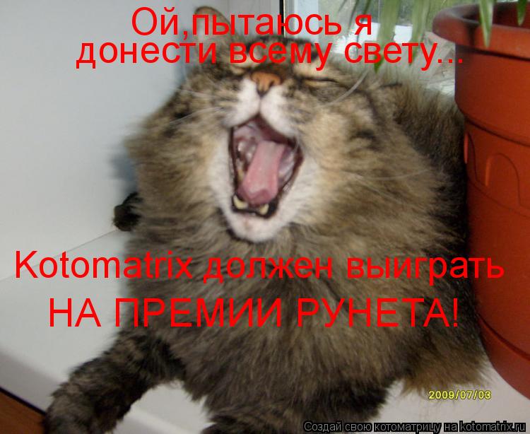 Ой,пытаюсь я донести всему свету... Kotomatrix должен выиграть НА ПРЕМИИ РУНЕТА!... Котоматрица: Ой,пытаюсь я донести всему свету... Kotomatrix должен выиграть НА ПРЕМИИ РУНЕТА!
