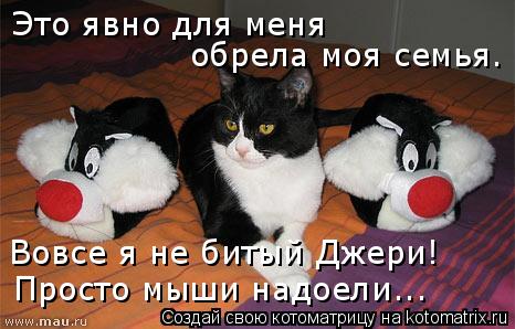 Это явно для меня обрела моя семья. Вовсе я не битый Джери! Просто мыши надоели...... Котоматрица: Это явно для меня обрела моя семья. Вовсе я не битый Джери! Просто мыши надоели...
