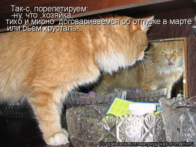 Так-с, порепетируем: -ну, что ,хозяйка, тихо и мирно договариваемся об отпуске в марте или бьем хрус... Котоматрица: Так-с, порепетируем: -ну, что ,хозяйка, тихо и мирно договариваемся об отпуске в марте или бьем хрусталь...