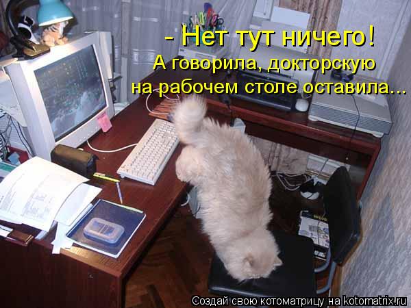 Котоматрица: - Нет тут ничего! А говорила, докторскую на рабочем столе оставила...