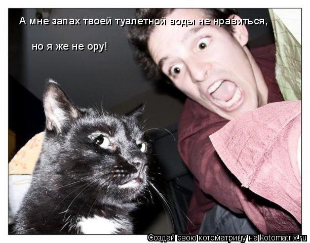 Котоматрица: А мне запах твоей туалетной воды не нравиться, но я же не ору!