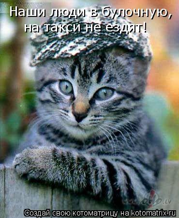на такси не ездят! Наши люди в булочную,... Котоматрица: на такси не ездят! Наши люди в булочную,