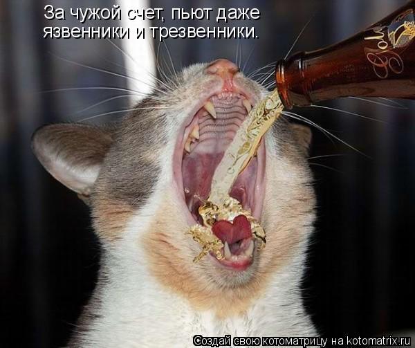 За чужой счет, пьют даже язвенники и трезвенники.... Котоматрица: За чужой счет, пьют даже язвенники и трезвенники.
