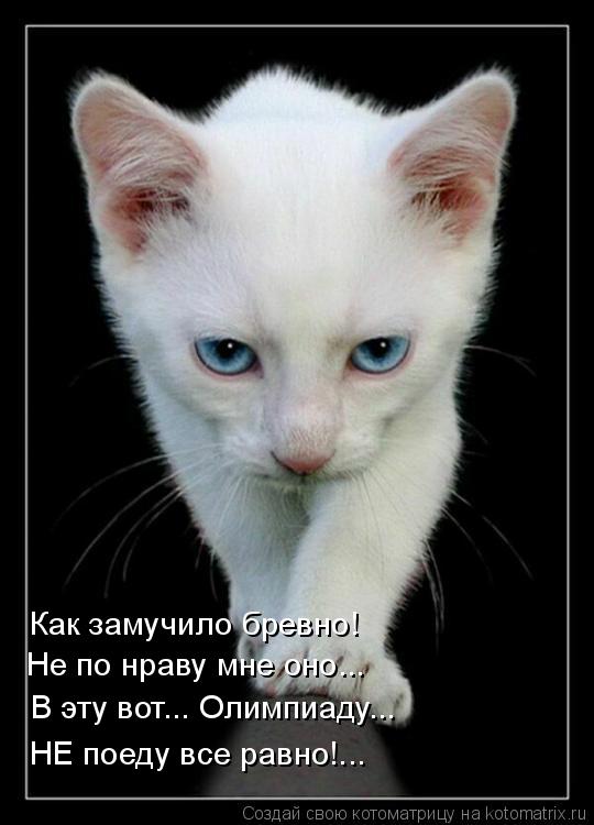 Котоматрица: Как замучило бревно! Не по нраву мне оно... В эту вот... Олимпиаду... НЕ поеду все равно!...