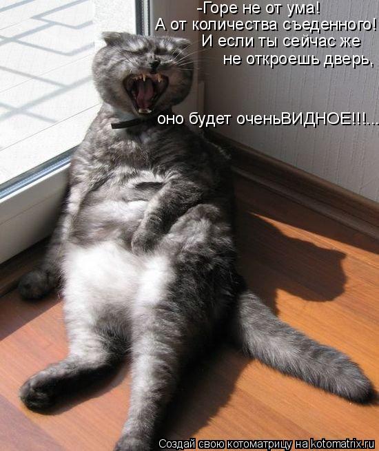 -Горе не от ума! А от количества съеденного! И если ты сейчас же не откроешь дверь, оно будет оче... Котоматрица: -Горе не от ума! А от количества съеденного! И если ты сейчас же не откроешь дверь, оно будет оченьВИДНОЕ!!!...