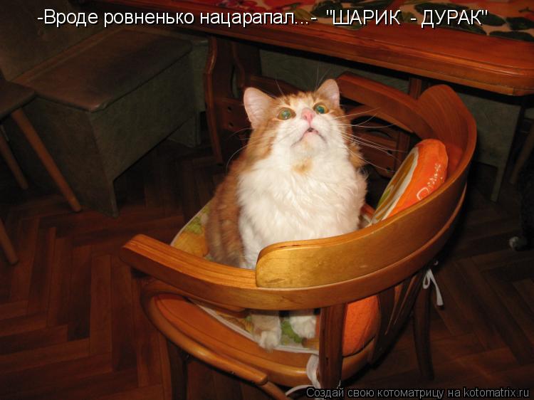 -Вроде ровненько нацарапал...- "ШАРИК - ДУРАК"... Котоматрица: -Вроде ровненько нацарапал...- "ШАРИК - ДУРАК"