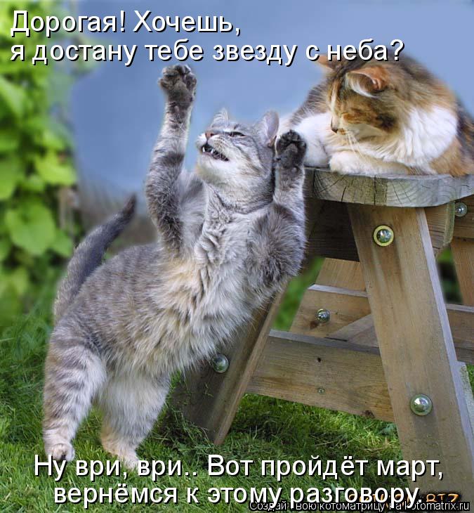 Ну ври, ври.. Вот пройдёт март, вернёмся к этому разговору. Дорогая! Хочешь, я достану тебе звезду ... Котоматрица: Ну ври, ври.. Вот пройдёт март, вернёмся к этому разговору. Дорогая! Хочешь, я достану тебе звезду с неба?