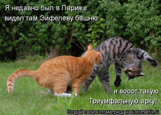 Котоматрица: Я недавно был в Париже видел там Эйфелеву башню и вооот такую Триумфальную арку!