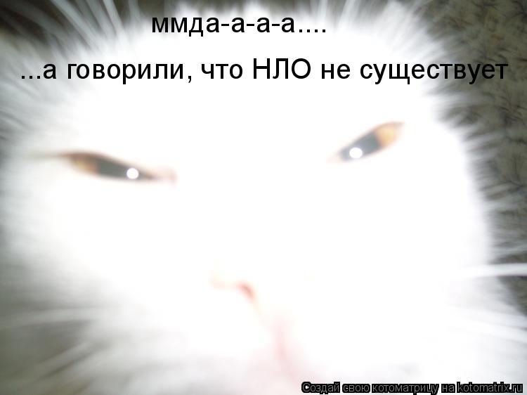 ммда-а-а-а.... ...а говорили, что НЛО не существует... Котоматрица: ммда-а-а-а.... ...а говорили, что НЛО не существует