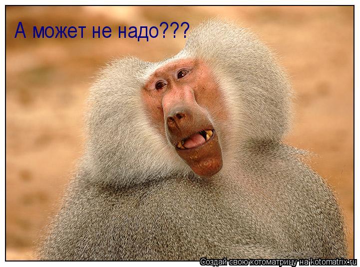 А может не надо???... Котоматрица: А может не надо???