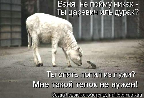 Ваня, не пойму никак - Ты царевич иль дурак? Ты опять попил из лужи? Мне такой телок не нужен!... Котоматрица: Ваня, не пойму никак - Ты царевич иль дурак? Ты опять попил из лужи? Мне такой телок не нужен!